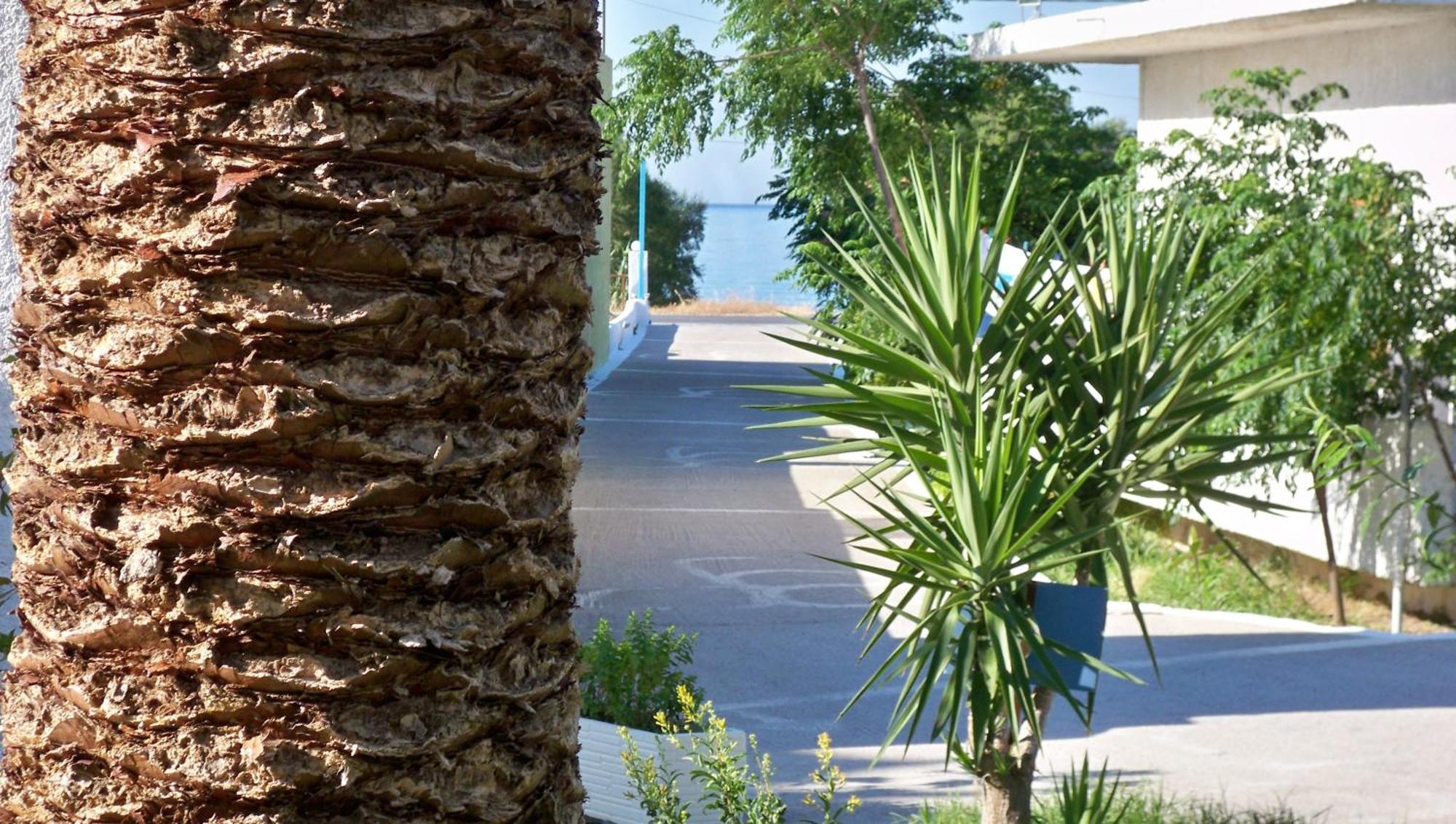 Aphrodite Samos Suites Marathókampos Exterior photo