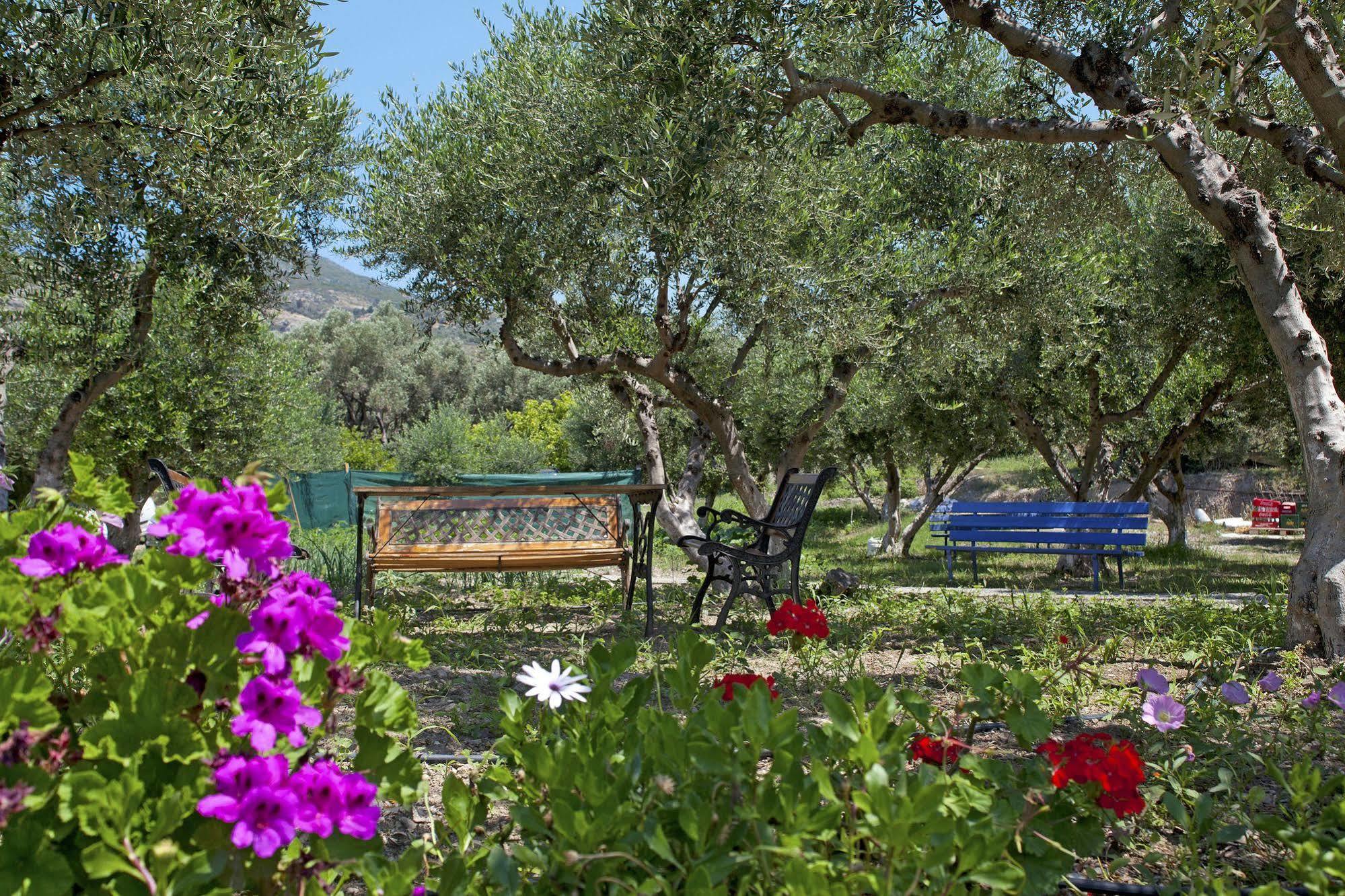Aphrodite Samos Suites Marathókampos Exterior photo